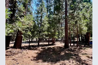 83 Paiute Trail, Graeagle, CA 96103 - Photo 9