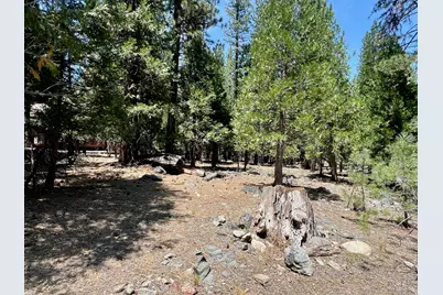 83 Paiute Trail, Graeagle, CA 96103 - Photo 5