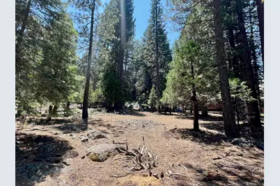 83 Paiute Trail, Graeagle, CA 96103 - Photo 1