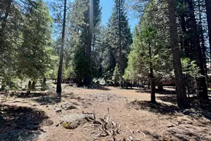 83 Paiute Trail, Graeagle, CA 96103 - Photo 1