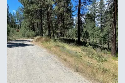 Apn#126-113-003 Idle Hour Drive, Portola, CA 96122 - Photo 3