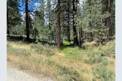 Apn#126-113-003 Idle Hour Drive, Portola, CA 96122 - Photo 1