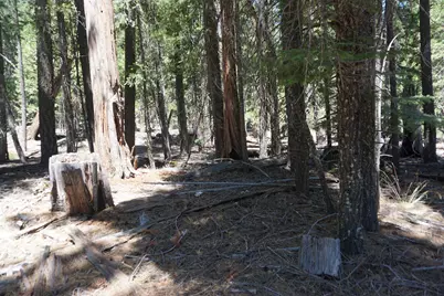 1 Papoose Trail, Graeagle, CA 96103 - Photo 9