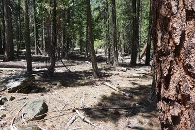 1 Papoose Trail, Graeagle, CA 96103 - Photo 7
