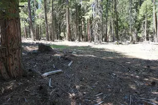 1 Papoose Trail, Graeagle, CA 96103 - Photo 1