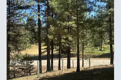 51 Ranch Road, Meadow Valley, CA 95956 - Photo 23