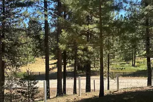 51 Ranch Rd, Meadow Valley, CA 95956 - Photo 23