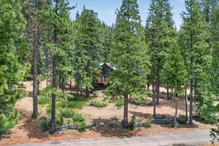 2500 Round Valley Rd, Greenville, CA 95947 - Photo 41