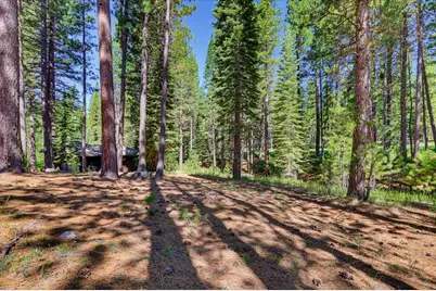 292 McKenzie Trail, Clio, CA 96106 - Photo 7