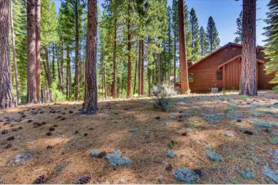292 McKenzie Trail, Clio, CA 96106 - Photo 3