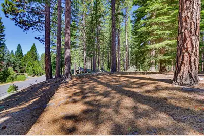 292 McKenzie Trail, Clio, CA 96106 - Photo 1