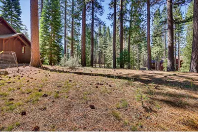 292 McKenzie Trail, Clio, CA 96106 - Photo 5