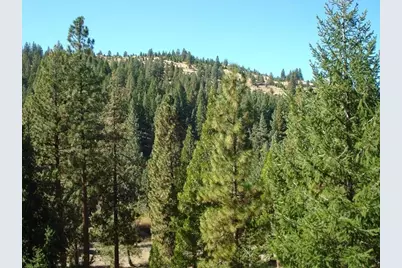 357 Big Grizzly #4, Portola, CA 96122 - Photo 3