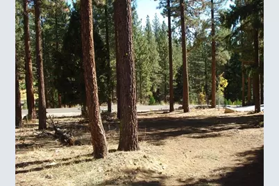 357 Big Grizzly #4, Portola, CA 96122 - Photo 1