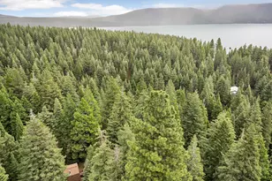 618 & 620 Pine Canyon Rd, Lake Almanor, CA 96137 - Photo 31