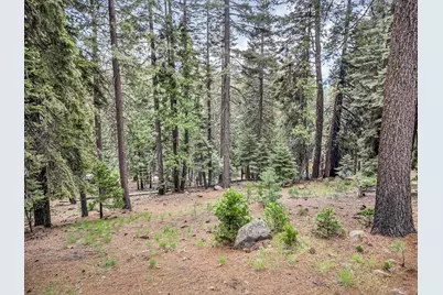 618 & 620 Pine Canyon Road, Lake Almanor, CA 96137 - Photo 27