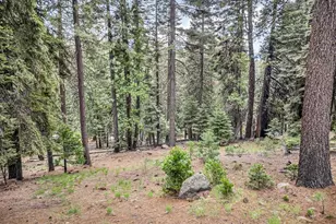 618 & 620 Pine Canyon Rd, Lake Almanor, CA 96137 - Photo 27