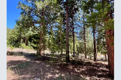 278 Peppergrass Lane, Portola, CA 96122 - Photo 13