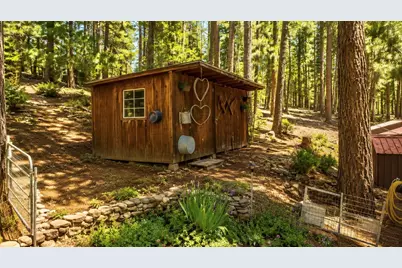 294 April Lane, Blairsden-Graeagle, CA 96103 - Photo 47