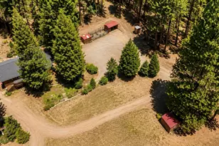 294 April Ln, Blairsden-Graeagle, CA 96103 - Photo 39