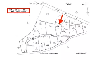 294 April Ln, Blairsden-Graeagle, CA 96103 - Photo 49