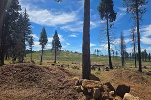 314 Osprey Loop, Lake Almanor West, CA 96020 - Photo 11