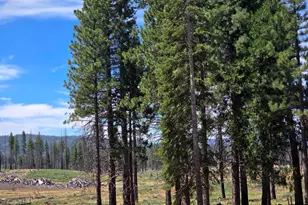 314 Osprey Loop, Lake Almanor West, CA 96020 - Photo 15