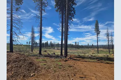314 Osprey Loop, Lake Almanor, CA 96020 - Photo 5