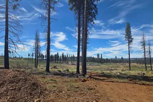 314 Osprey Loop, Lake Almanor, CA 96020 - Photo 5