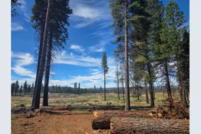 314 Osprey Loop, Lake Almanor, CA 96020 - Photo 9