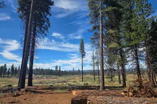 314 Osprey Loop, Lake Almanor, CA 96020 - Photo 9