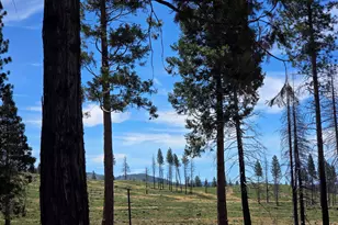 314 Osprey Loop, Lake Almanor West, CA 96020 - Photo 13