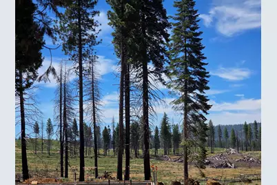314 Osprey Loop, Lake Almanor, CA 96020 - Photo 7