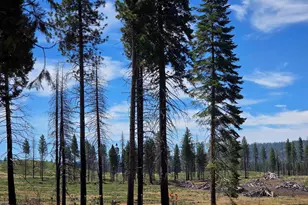 314 Osprey Loop, Lake Almanor, CA 96020 - Photo 7