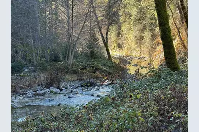 280 Gold Bluff Road, Downieville, CA 95674 - Photo 3