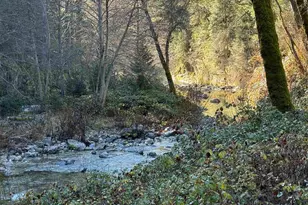 280 Gold Bluff Rd, Downieville, CA 95674 - Photo 3