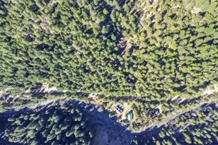 280 Gold Bluff Rd, Downieville, CA 95674 - Photo 23