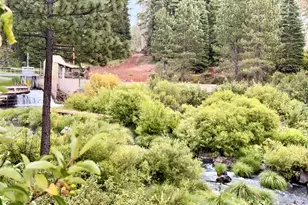 666-896 Hamilton Way, Lake Almanor, CA 96137 - Photo 19