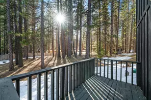 114 Bark Way, Clio, CA 96106 - Photo 43