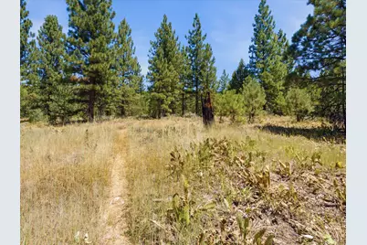 178 Bird Of Prey Lane, Portola, CA 96122 - Photo 5