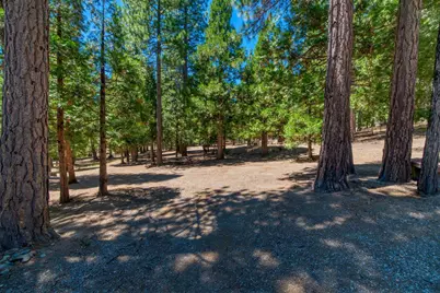 69467 Chipmunk Road, Blairsden, CA 96103 - Photo 49