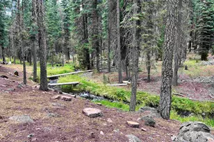 #35 Feather River Homesites, Chester, CA 96020 - Photo 25