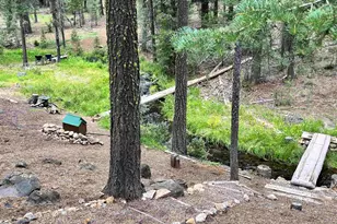 #35 Feather River Homesites, Chester, CA 96020 - Photo 33