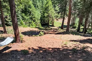 182 Peninsula Dr, Lake Almanor, CA 96137 - Photo 29