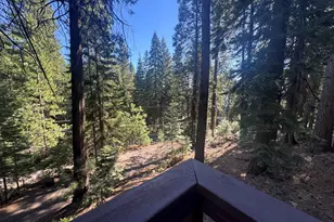545 Peninsula Dr, Lake Almanor, CA 96137 - Photo 29
