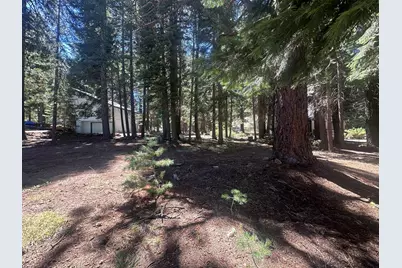 324 Manzanita Drive, Chester, CA 96020 - Photo 3