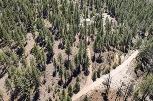 1100 Sugar Loaf Rd, Chilcoot, CA 96105 - Photo 43