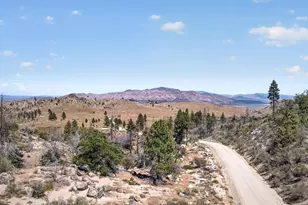 1100 Sugar Loaf Rd, Chilcoot, CA 96105 - Photo 35