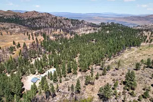 1100 Sugar Loaf Rd, Chilcoot, CA 96105 - Photo 47