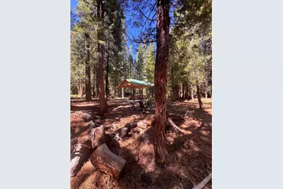1001 Pinion Pine Trail, Johnsville, CA 96103 - Photo 13